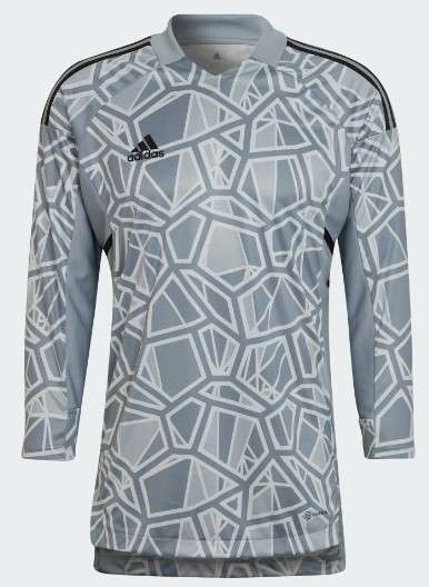 Adidas Condivo22 Goalkeeper Jersey Langarm - grau