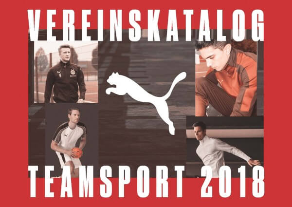 Puma Teamsport Katalog 2018