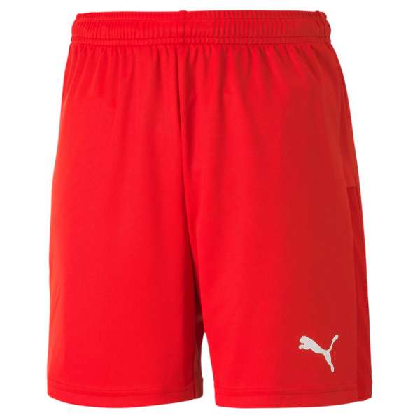 Puma teamGOAL 23 Knit Shorts KIDS - rot