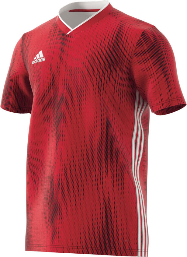 ADIDAS Herren T Shirt Tiro 19 ADIDAS Herren T Shirt Tiro 19