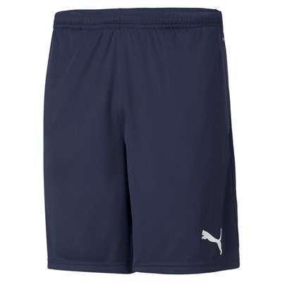 Puma teamRISE Training Shorts - dunkelblau