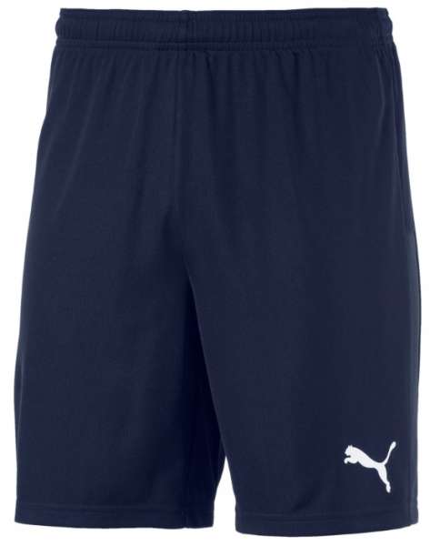 Puma teamGOAL 23knit Shorts - peacock