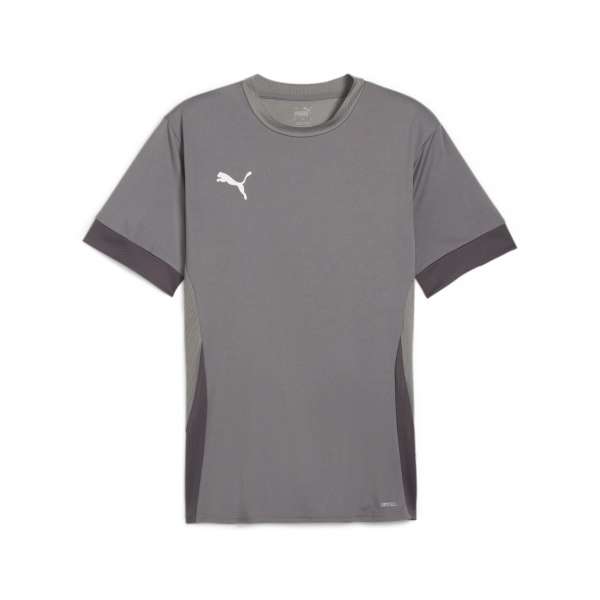 Puma teamGOAL Matchday Jersey - grau