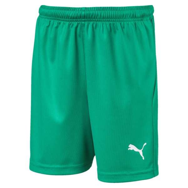 Puma LIGA Shorts Core KIDS - grün