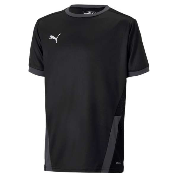 Puma teamGOAL 23 Jersey KIDS - schwarz