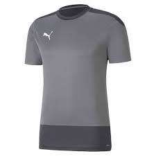 Puma teamGoal 23 Training Jersey - grau